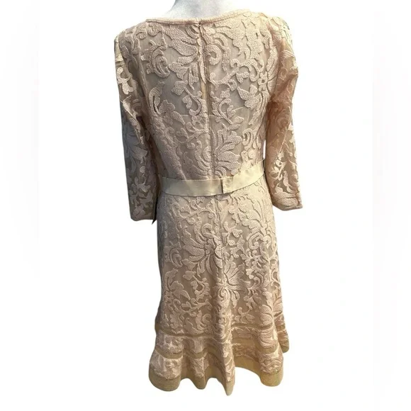 Tadashi Shoji Elegant Lace Dress in Cream petite size 12 - Picture 5 of 12